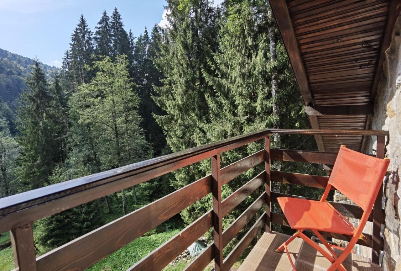 Zimbru Transfagarasan Lodge Arefu